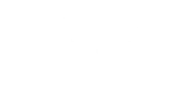 俏皮脸 | Sally Face LOGO