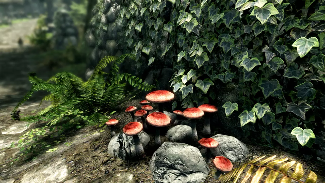 上古卷轴 5：天际 特别版-The Elder Scrolls V: Skyrim Special Edition-游戏截图-好玩游戏库