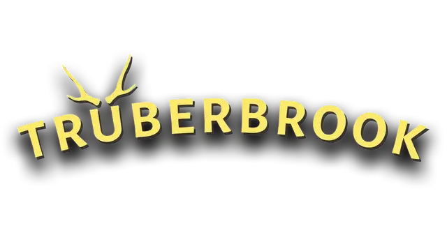 墨池镇 | Trüberbrook LOGO