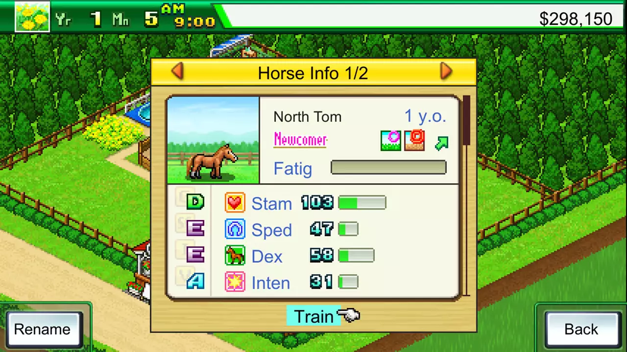 顶级跑马牧场-Pocket Stables-游戏截图-好玩游戏库