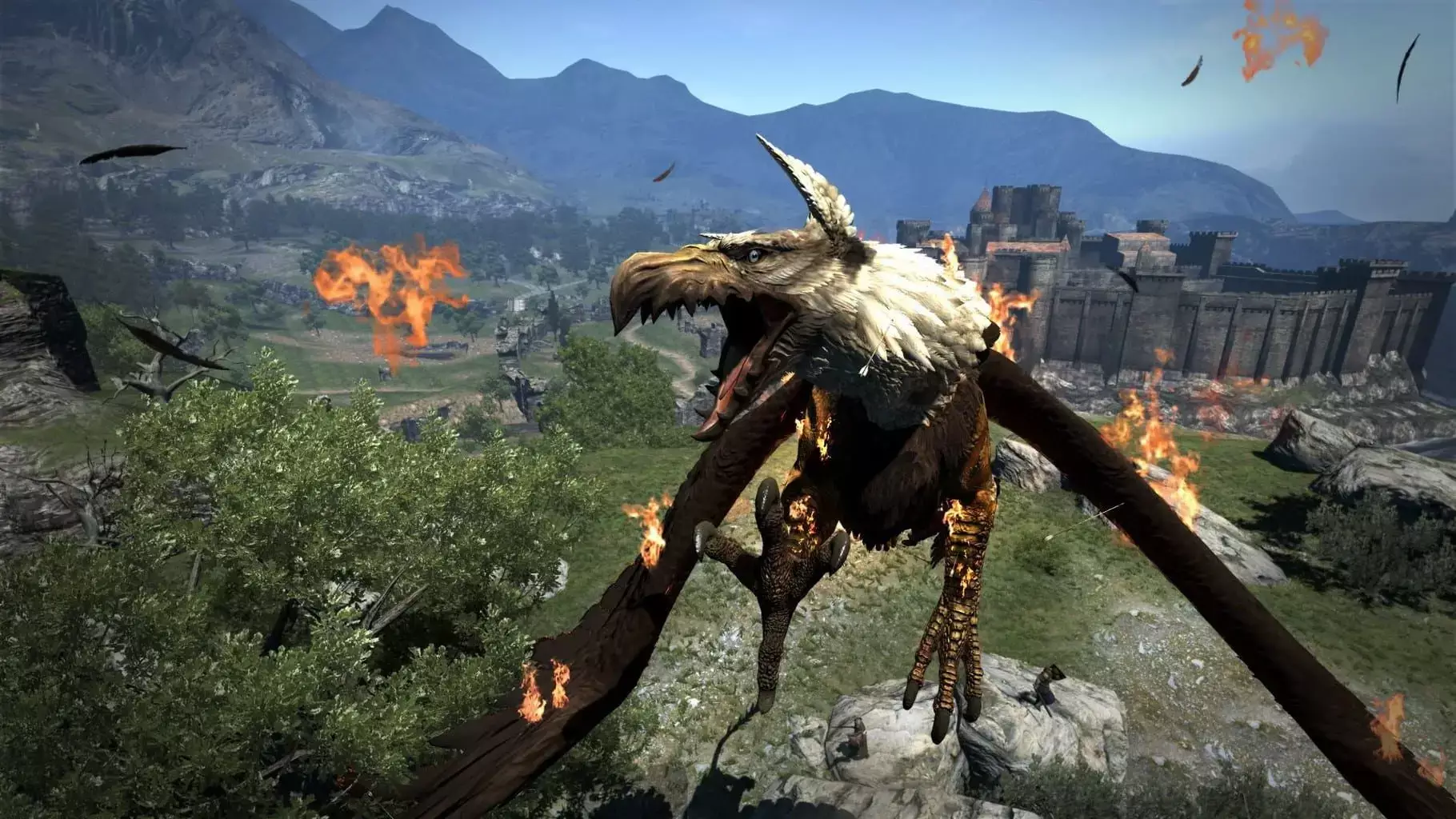 龙之信条-Dragon's Dogma-游戏截图-好玩游戏库