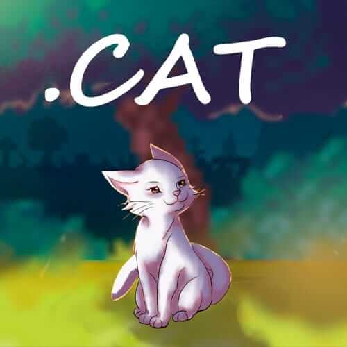 .猫