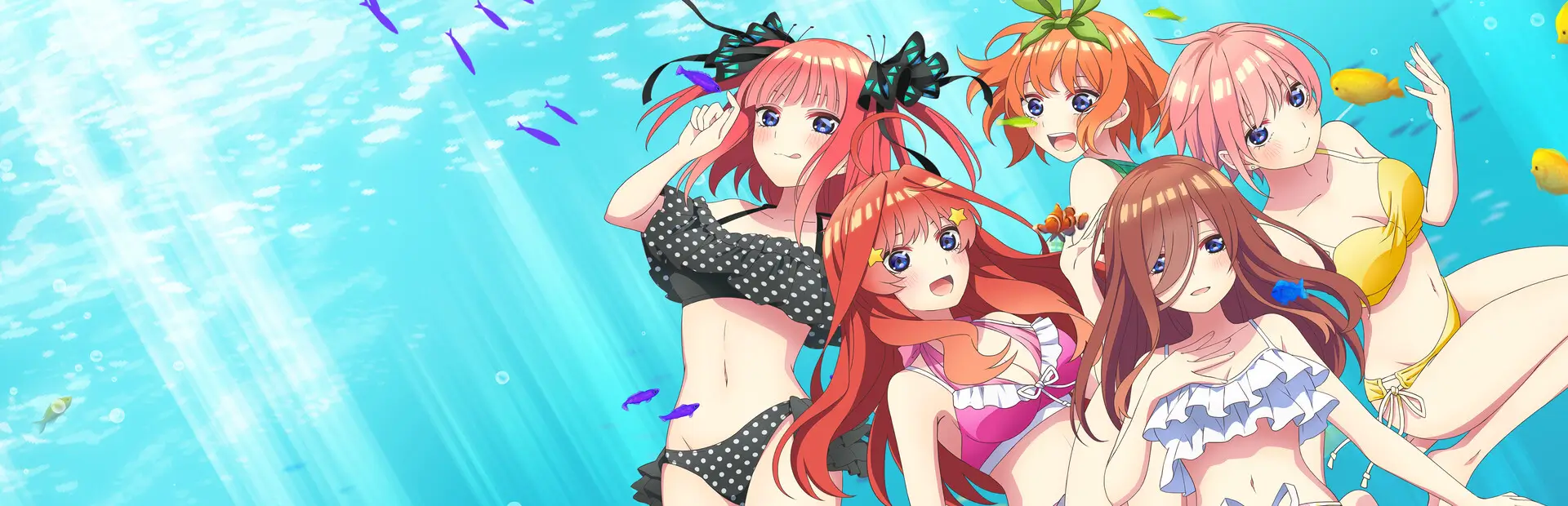 五等分的新娘:夏日回忆也五等分