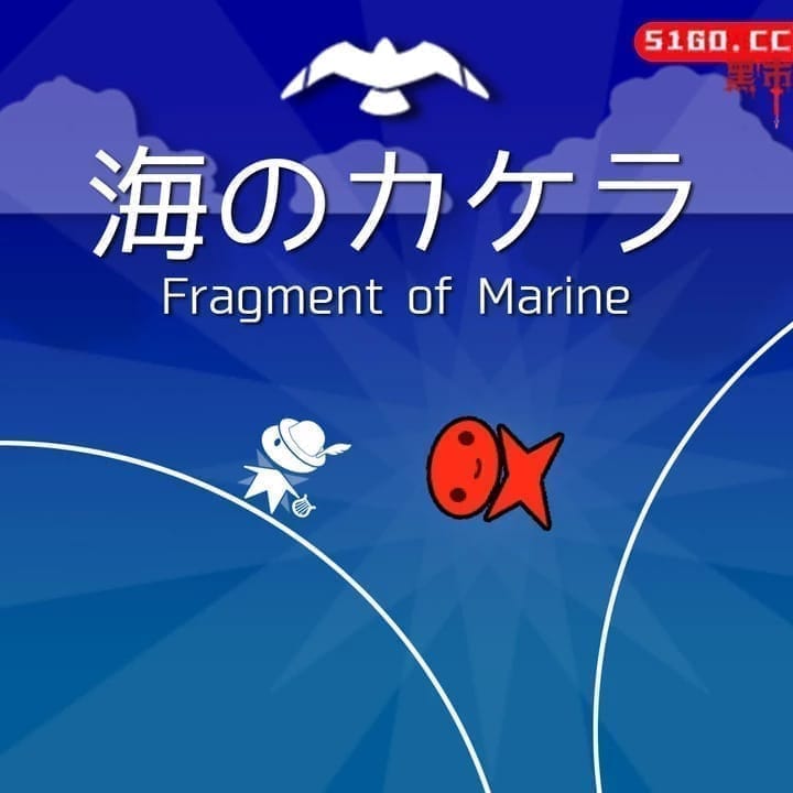 海洋碎片
