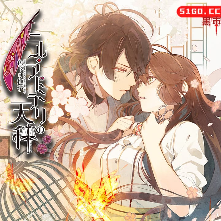 冷然之天秤:色鸟抚子 