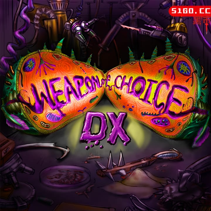 选择的武器 DX