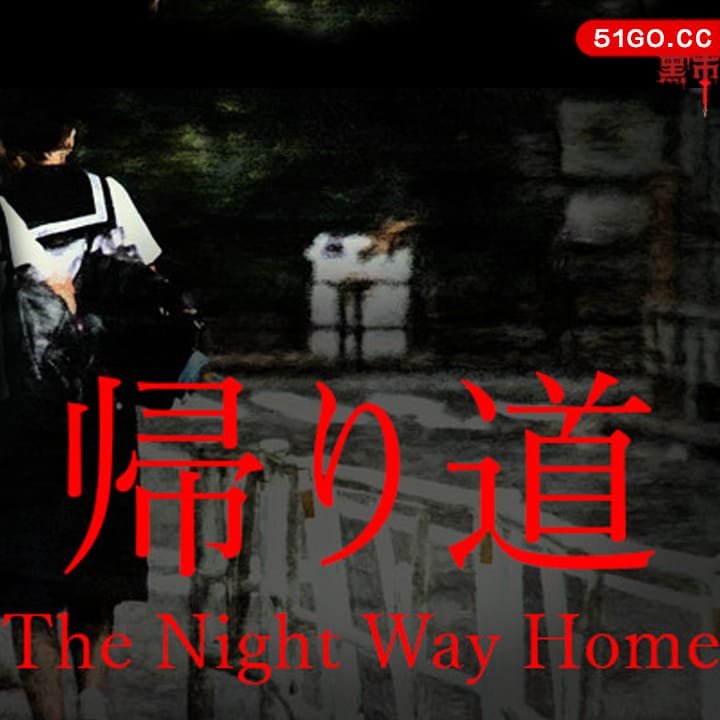 归家夜途