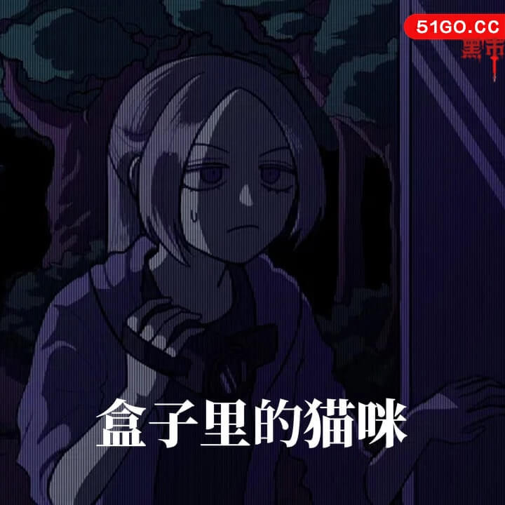 盒子里的猫咪 