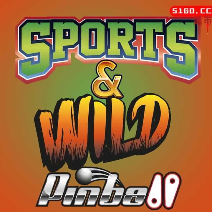 运动与野外弹子球