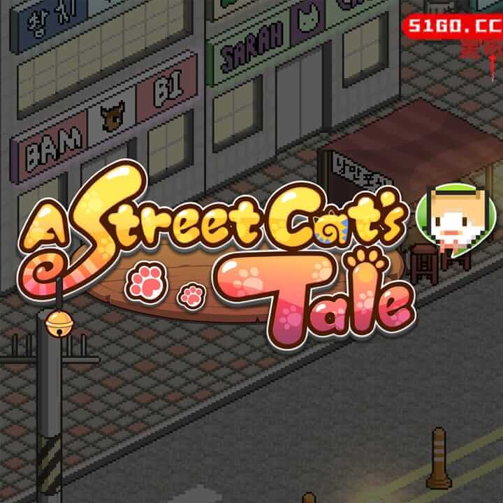 街头猫的故事