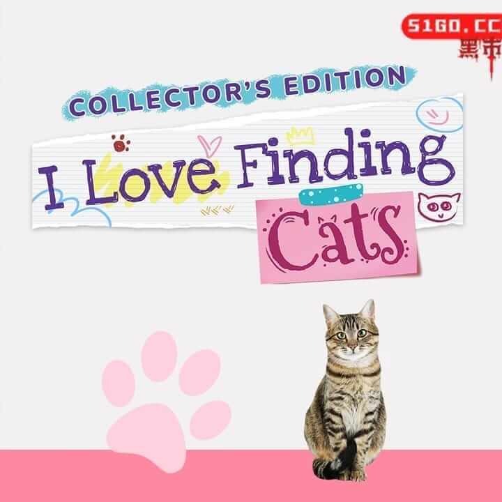 我爱找猫