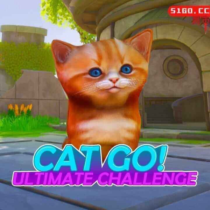 小猫快跑！终极挑战