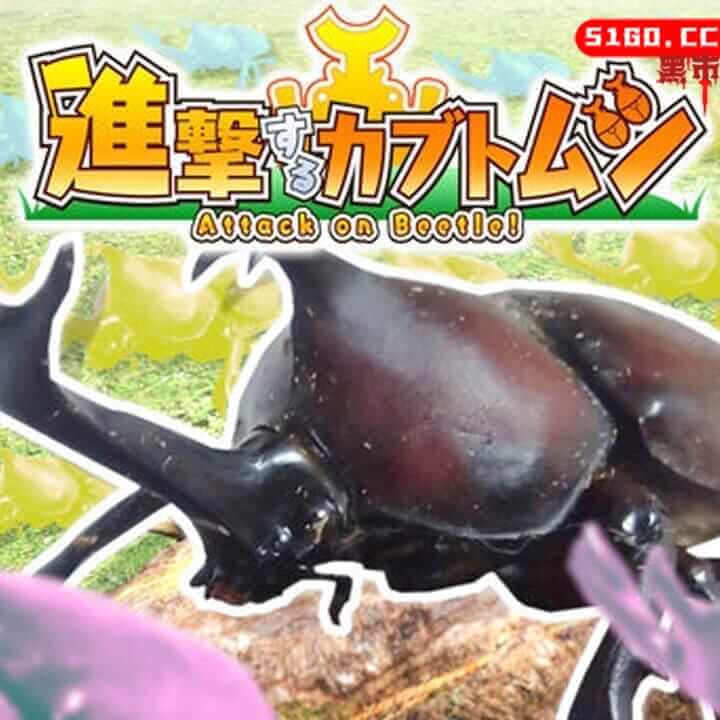 进击的独角仙 