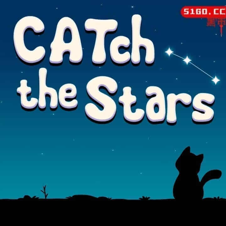追星