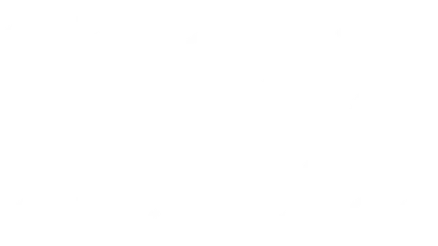 丘尼卡传说 | TUNIC LOGO