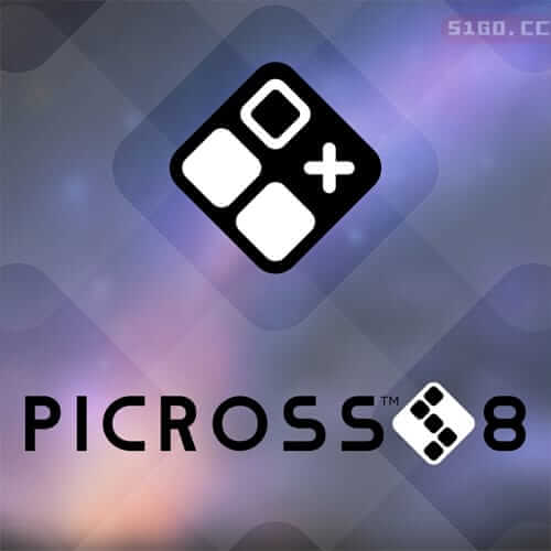 PICROSS S8 