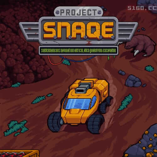 SNAQE 项目