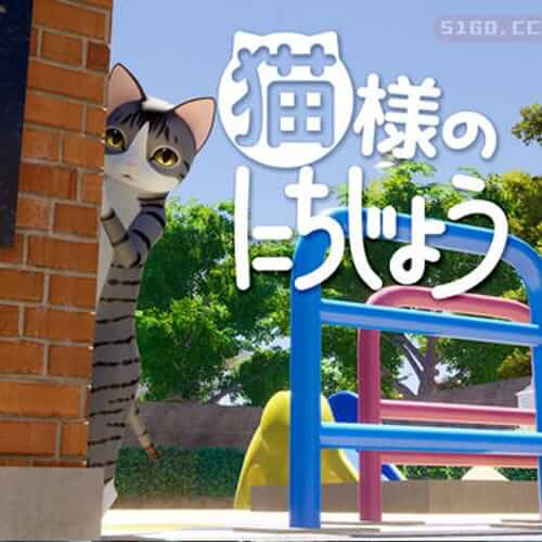 猫的一天