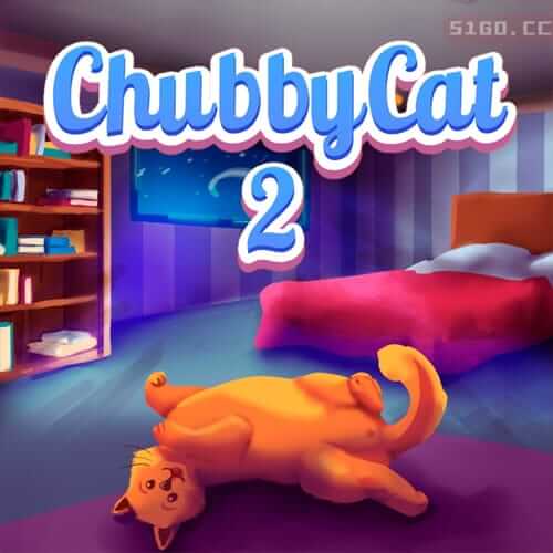 胖猫 2