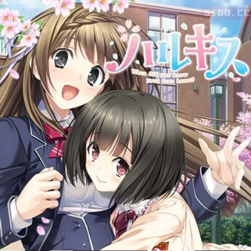 查基斯