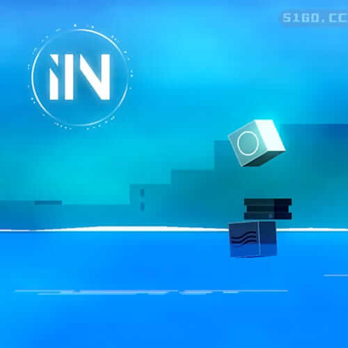 IIN 