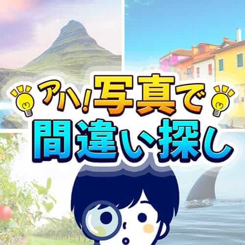 啊哈！在照片中找出不同-边玩边学！