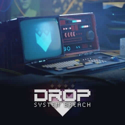 DROP：系统入侵