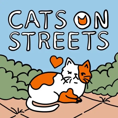 街上的猫