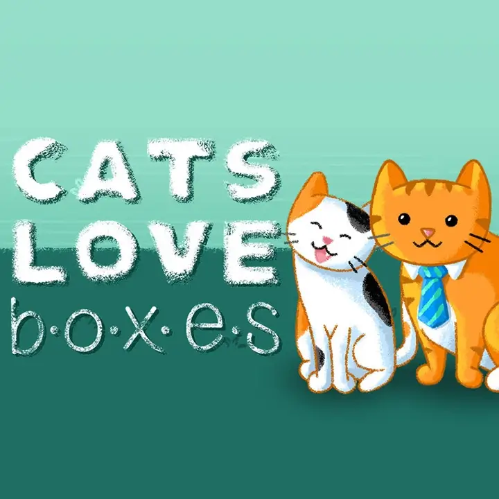 猫爱盒子