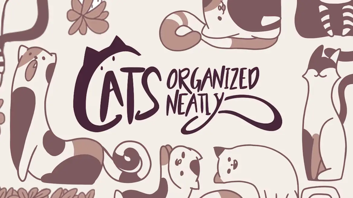 猫咪整齐划一-Cats Organized Neatly-封面图