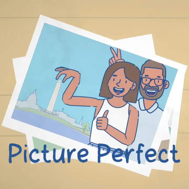 Picture Perfect