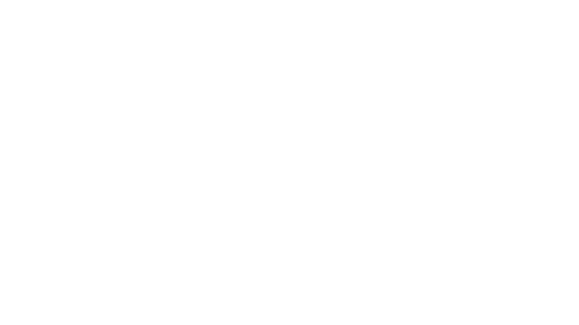 灵能激流 | Anima Flux | |