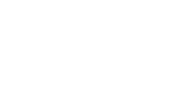 极速骆马 | Speedollama LOGO
