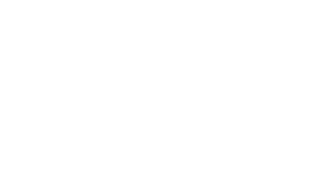 飞行快递模拟器：货运业务 | Flight Simulator Delivery: Cargo Business | LOGO