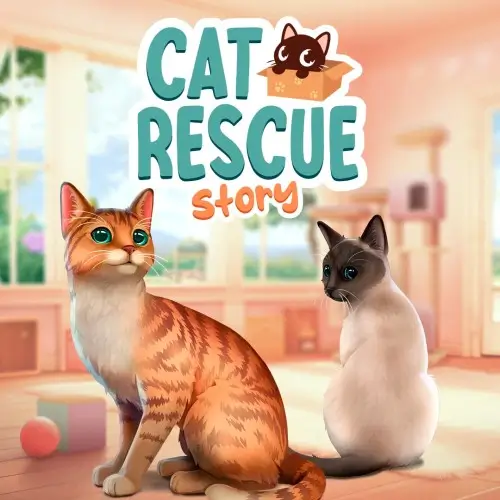 猫咪救援故事