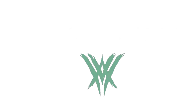 命运 2：邪姬魅影 | Destiny 2: The Witch Queen LOGO