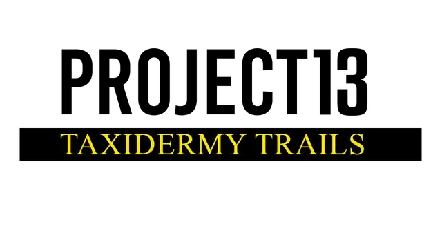 项目 13：标本制作之路 | Project 13: Taxidermy Trails LOGO