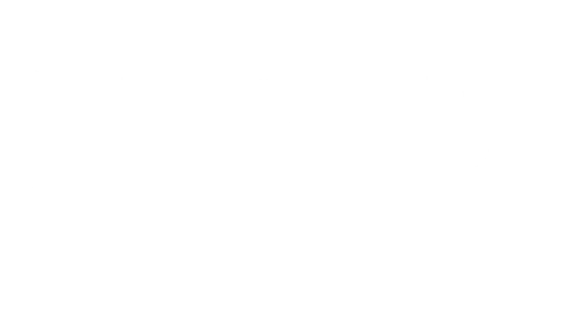 猫好货坏 | Order 13