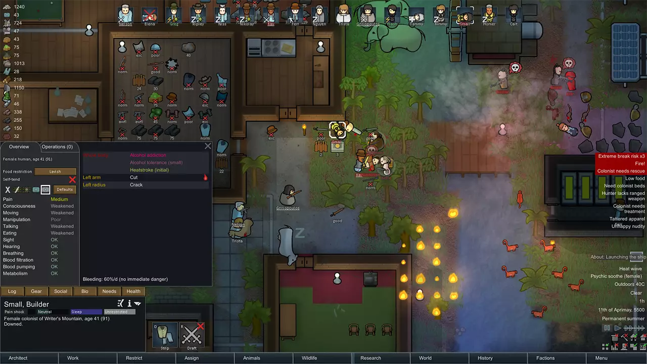 边缘世界-RimWorld-游戏截图-好玩游戏库