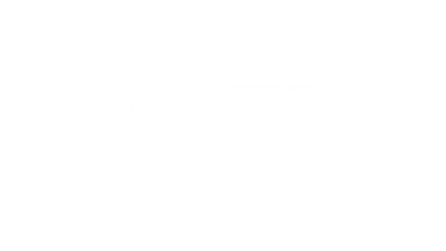 雷霆孤影 | Voin LOGO