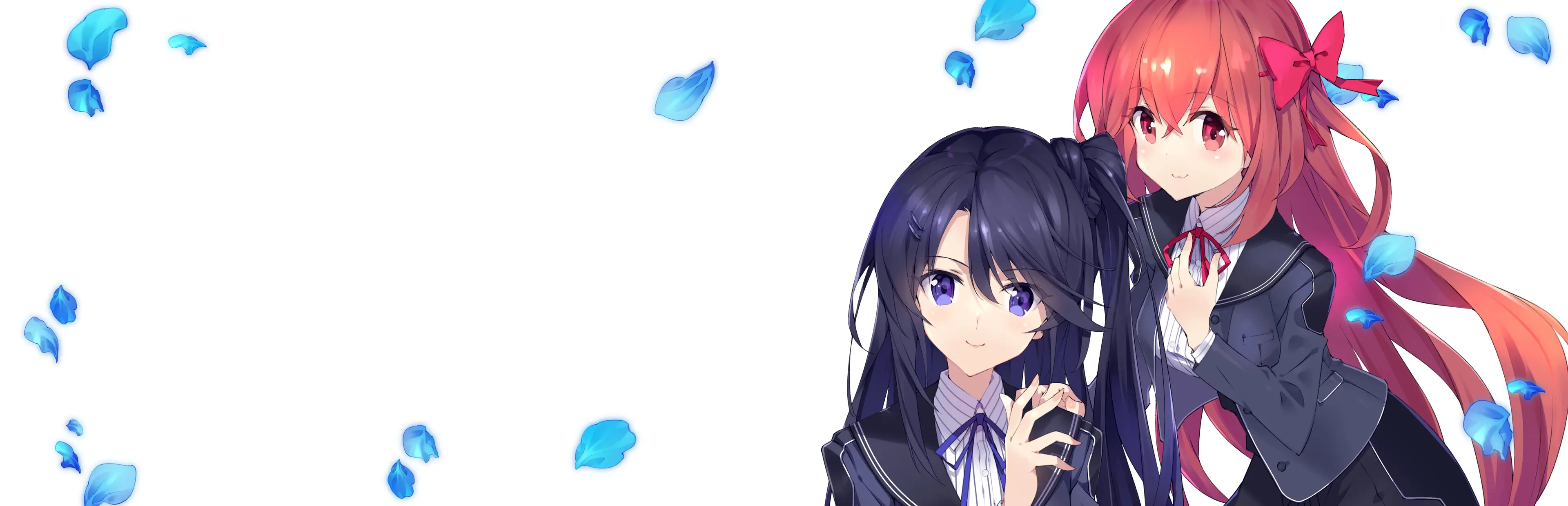 告别回忆 双想 ~Not always true~