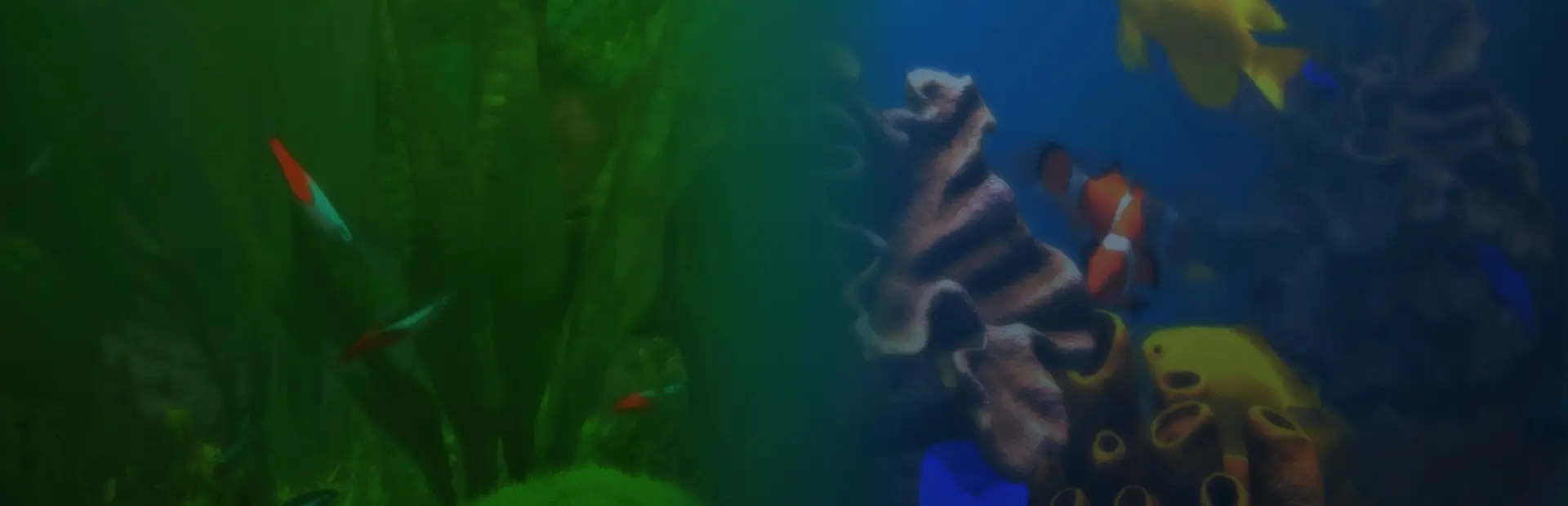 玻璃背后:水族馆模拟器