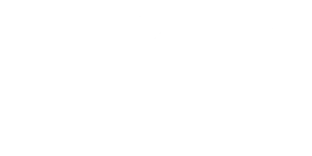 真实人生 | Dinkum LOGO