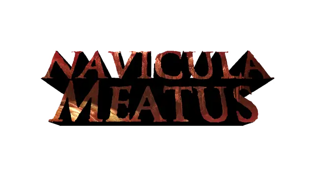 脉络航道 | Navicula Meatus LOGO