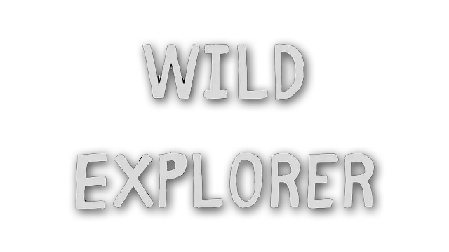 荒野追迹 | Wild Explorer LOGO