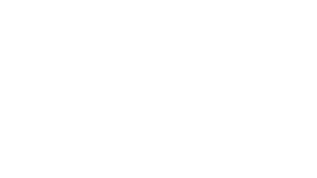 钢铁六边形 | Hex of Steel LOGO