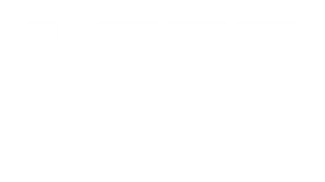 闰跃之年 | Leap Year LOGO
