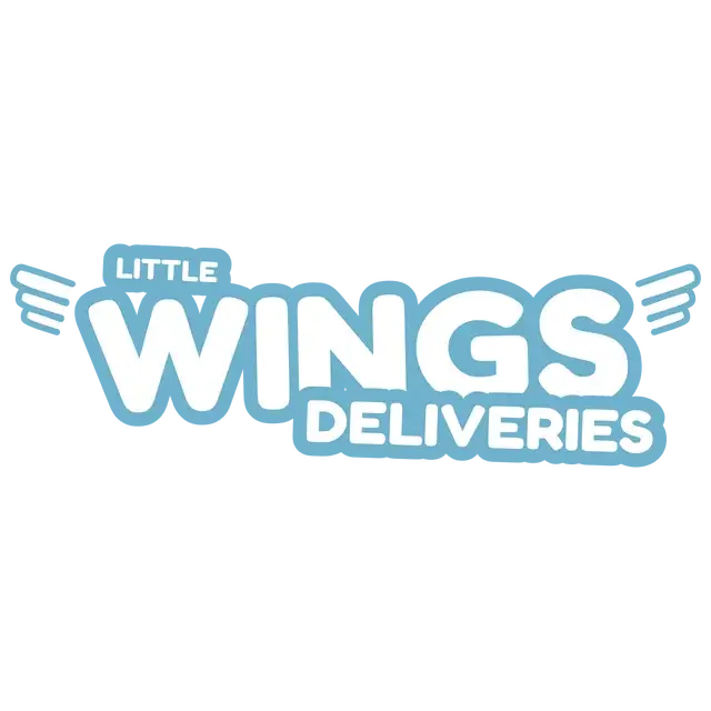 小小飞翼快递 | Little Wings Deliveries