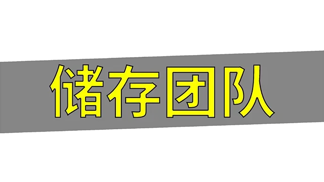 储存团队 | Storage Guys LOGO