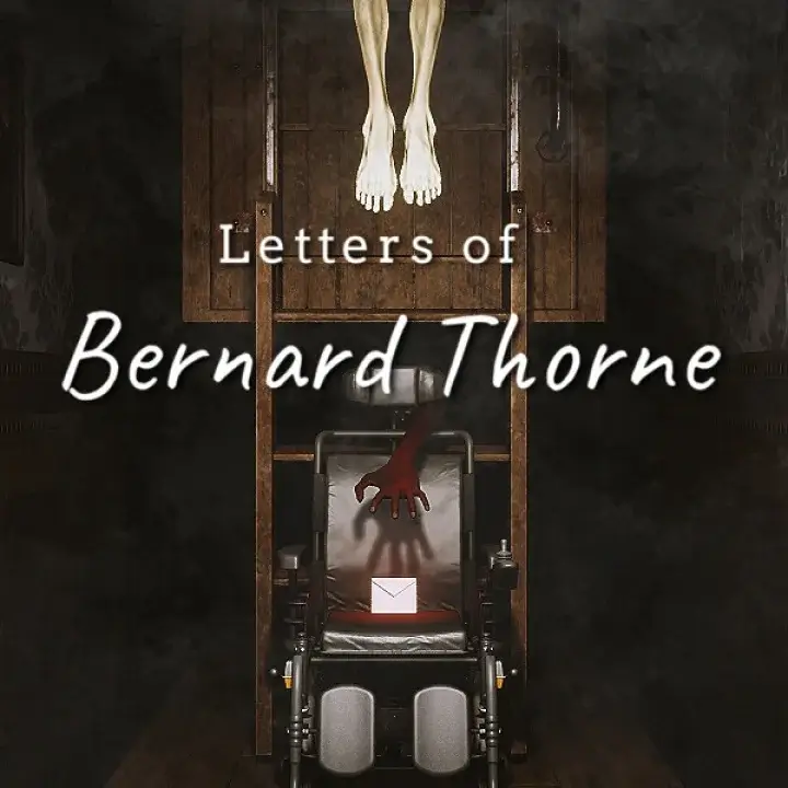 伯纳德·索恩的信件